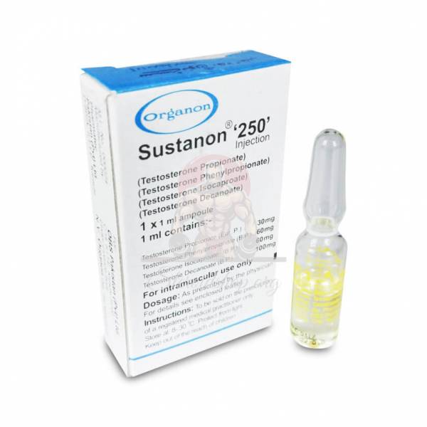 Organon-Sustanon-600x600-1-2.jpg