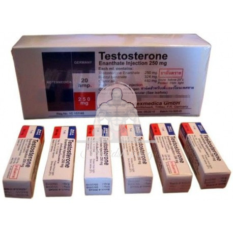 Rotexmedica-Testosteron-2.jpg